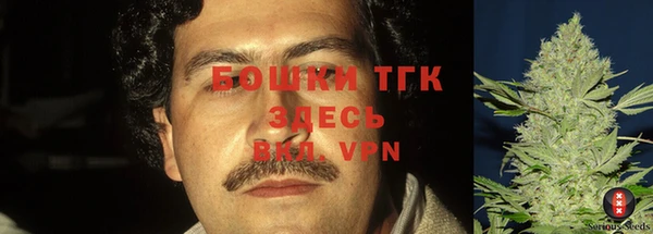 шишки Гусев