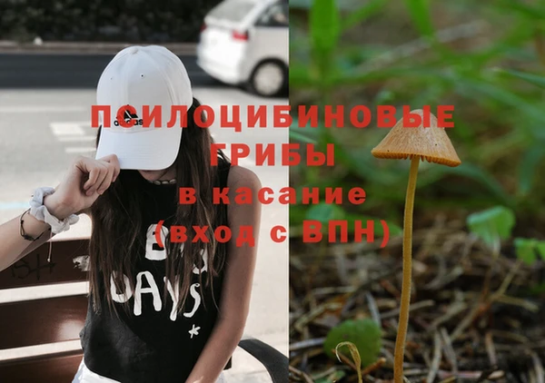 кокс Гусь-Хрустальный