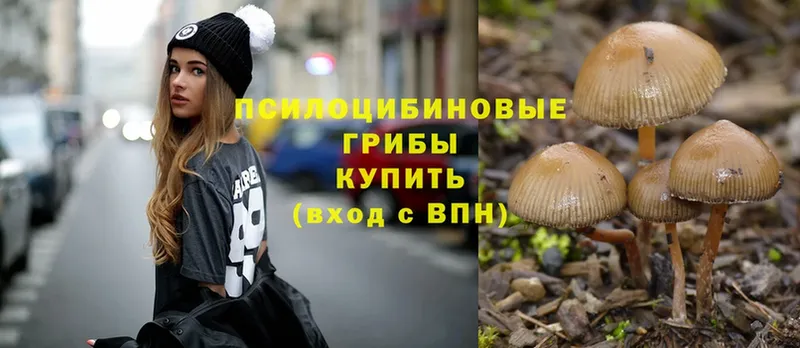 Псилоцибиновые грибы MAGIC MUSHROOMS  Емва 