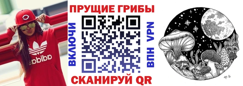 где купить наркоту  Емва  Галлюциногенные грибы Magic Shrooms 